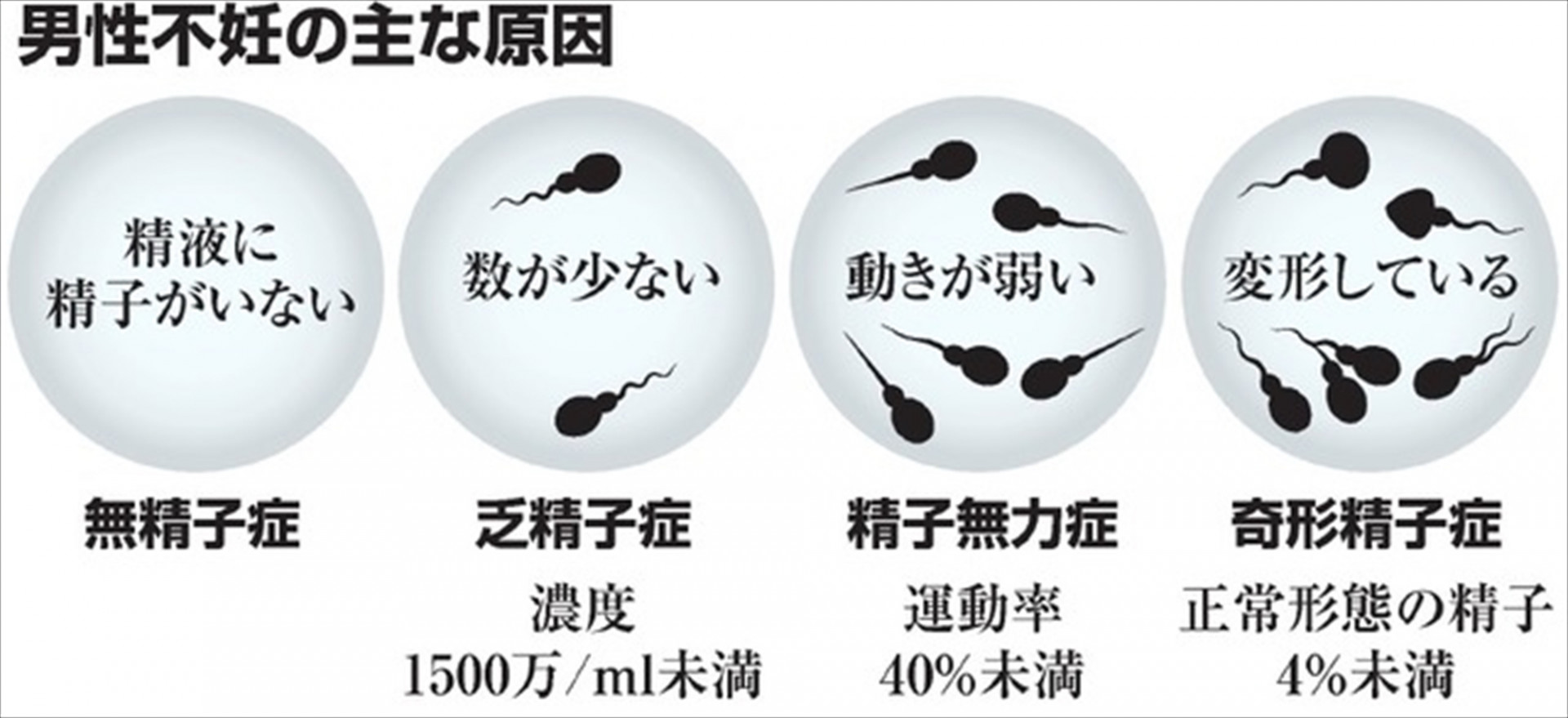 生殖能力の維持