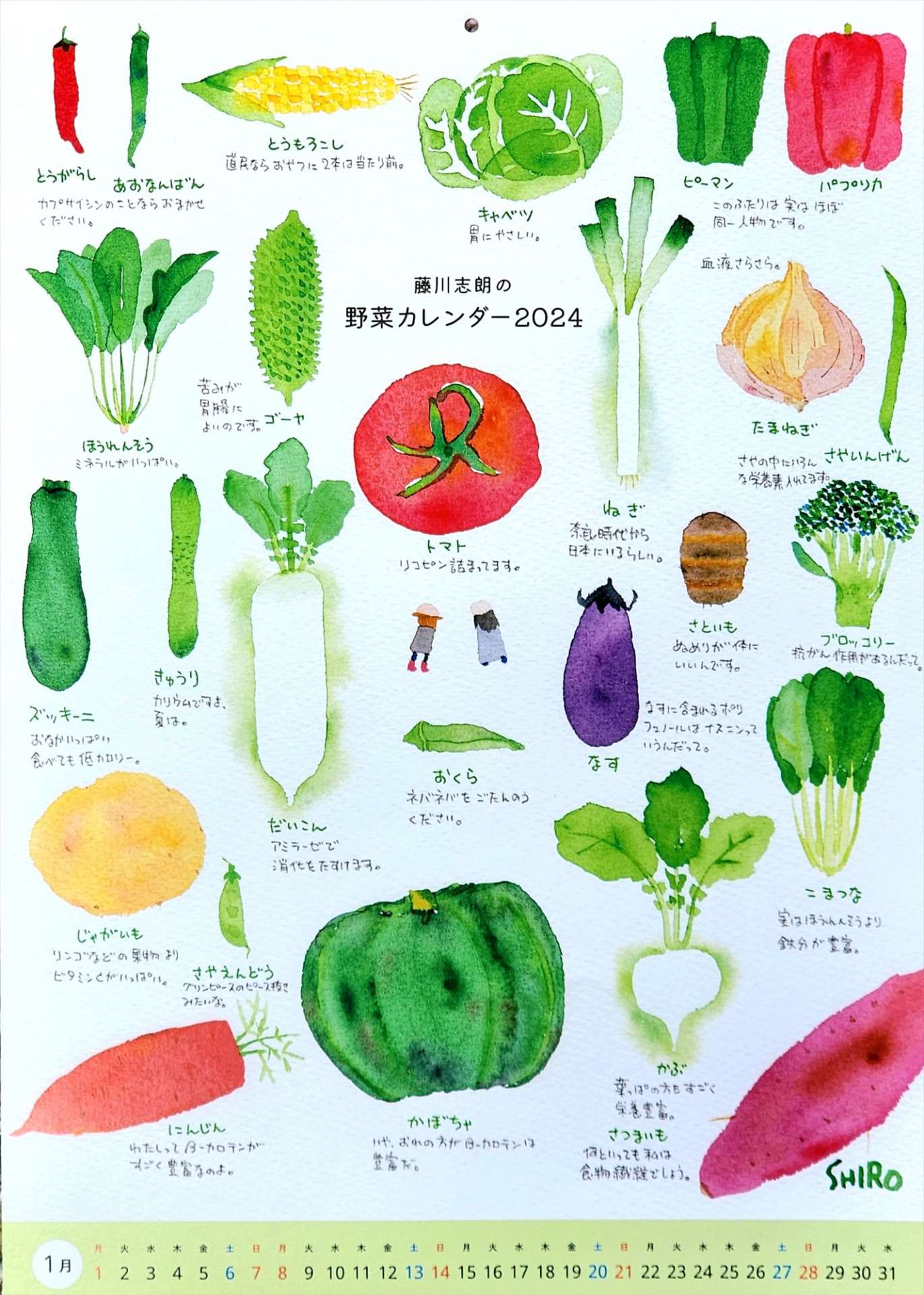 【1月の野菜カレンダーと休診について(^^♪】