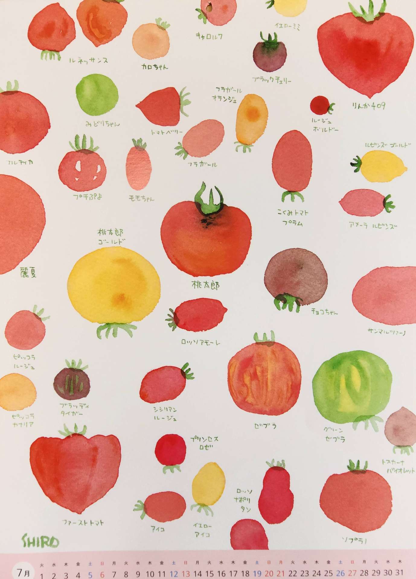 【7月の野菜カレンダーと休診について&能登保養(^^♪】