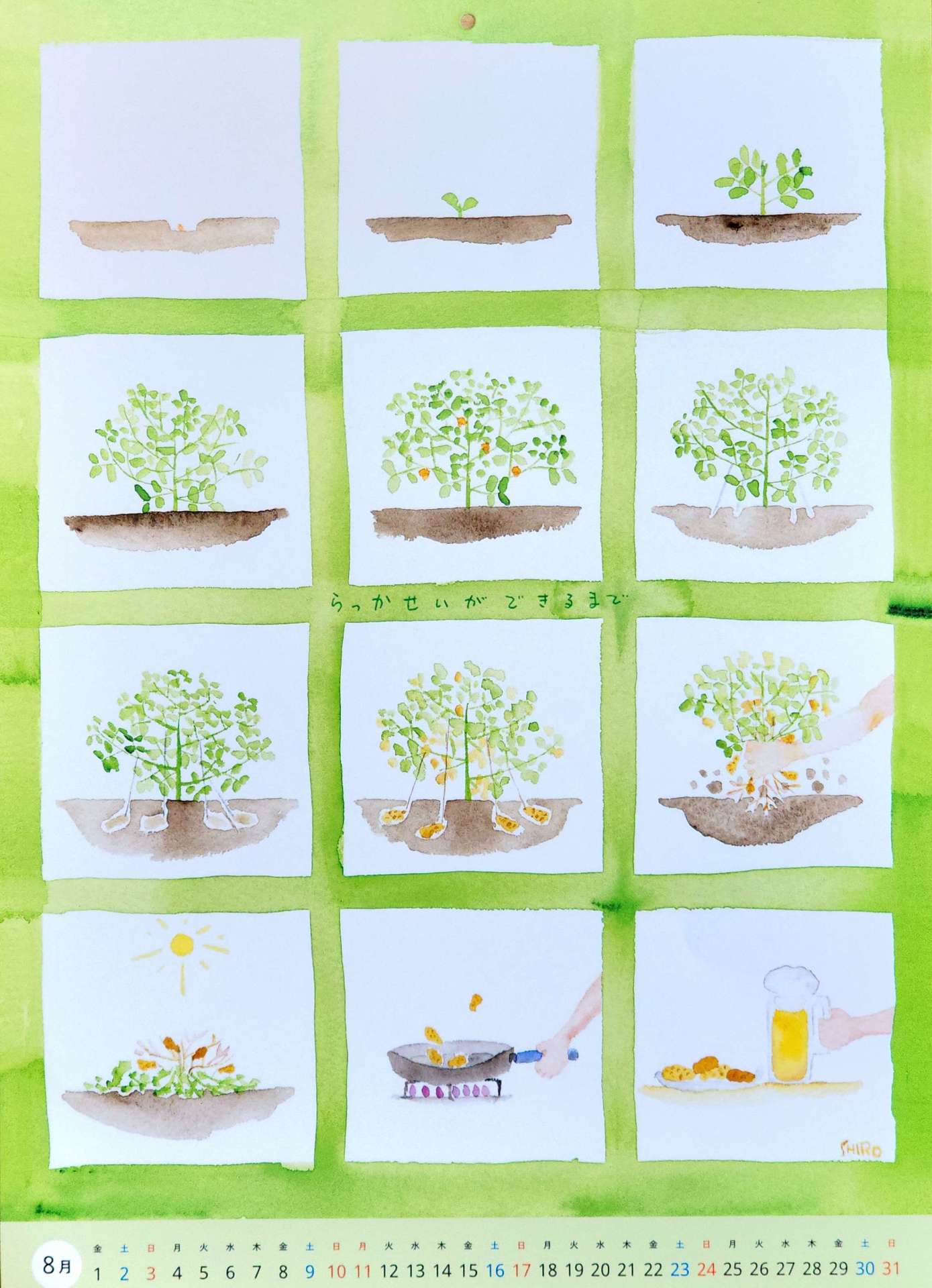 【8月の野菜カレンダーと夏季休診について(^^♪】