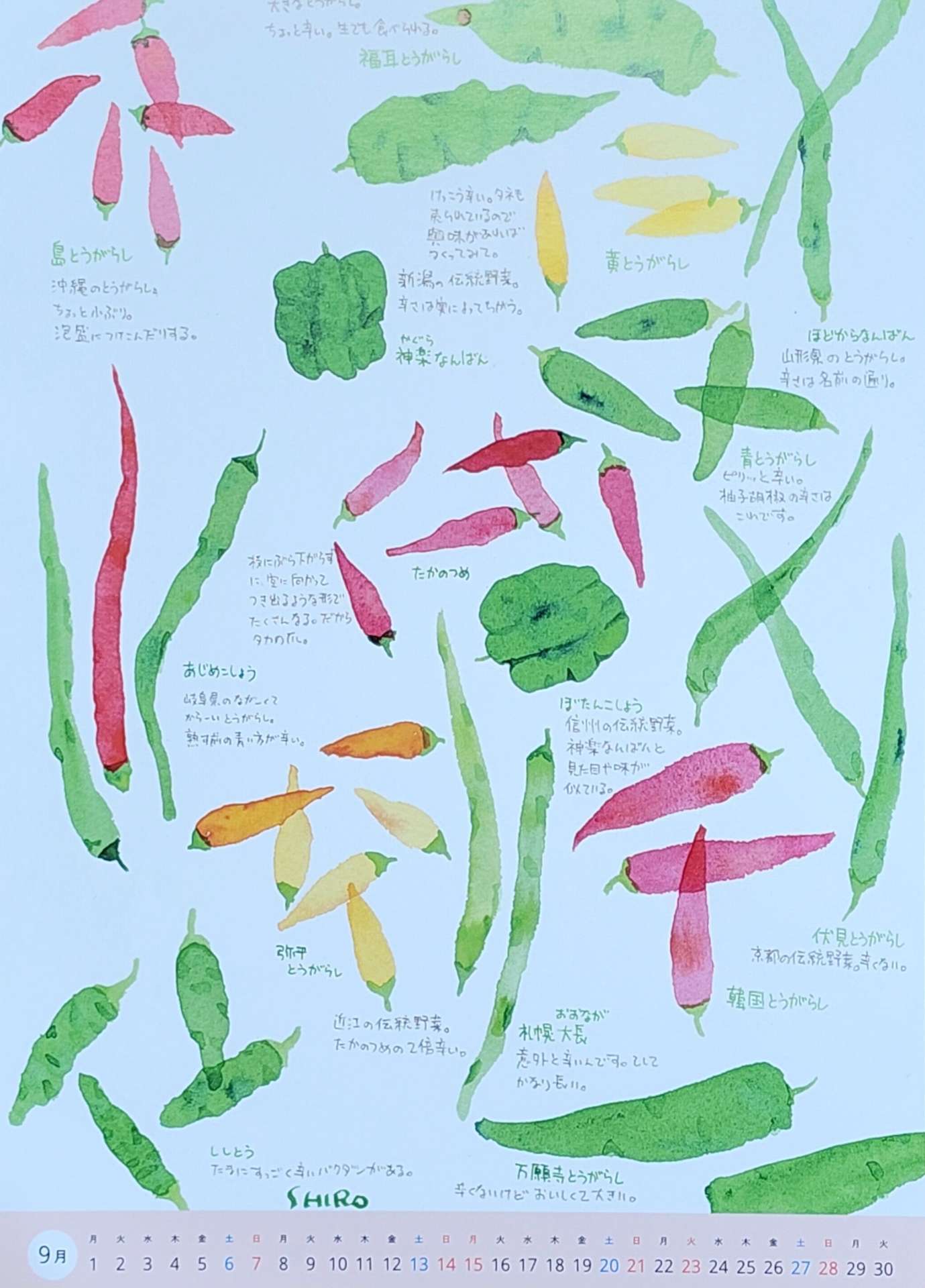 【9月のカレンダーと休診について(^^)】