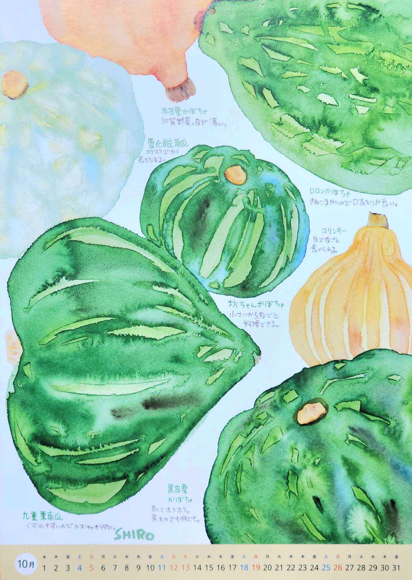 【10月の野菜カレンダーと休診について(^^♪】
