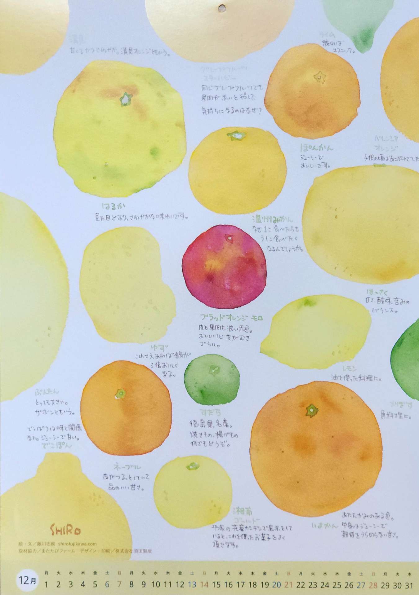 【12月の野菜カレンダーと休診について(^^♪】